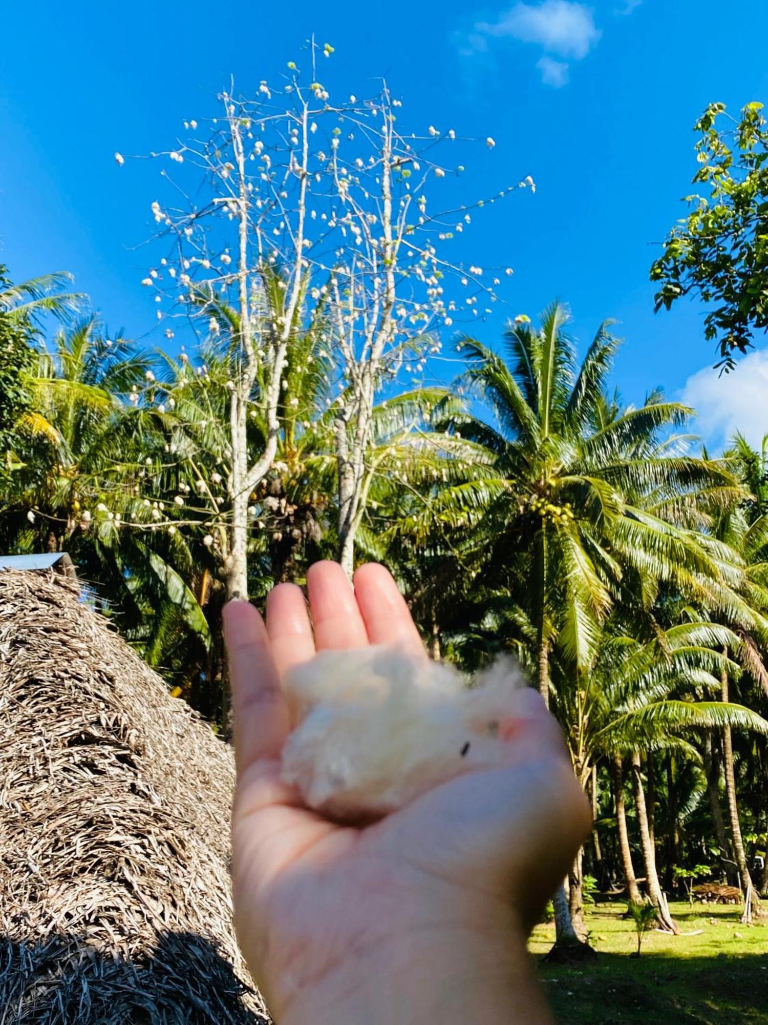 Huahine Serenity Cottage Maroe Zewnętrze zdjęcie